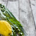 Symbols of Sukkot